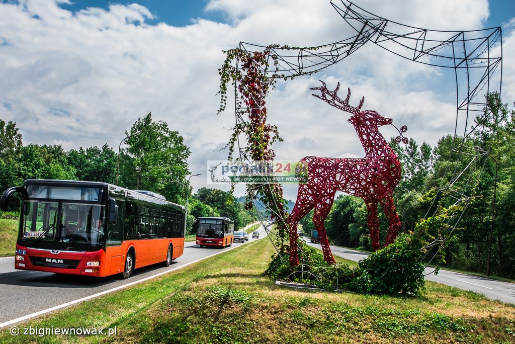 MZK  Jelenia Góra - najniższy koszt świadczenia usług na Dolnym Śląsku