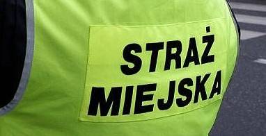 straz miejska