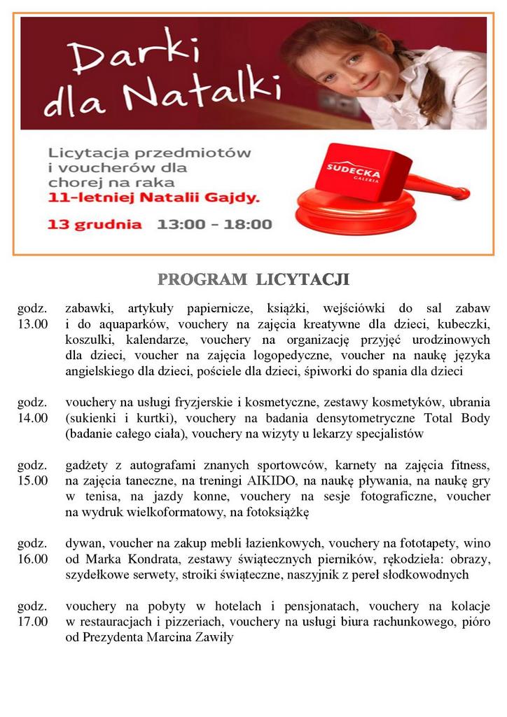 PLAN LICYTACJI-page-001