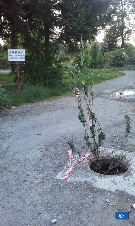 Czy musi dojść do tragedii, żeby ktoś interweniował ? ?