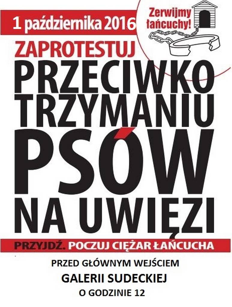 2015SepThu030906ZerwijŁańcuchy