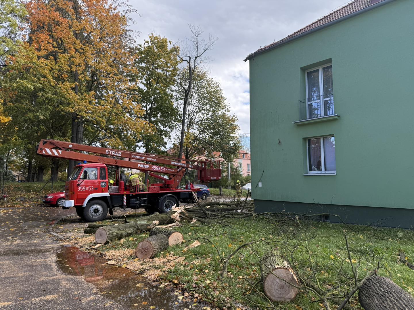 Zagrożenie spróchniałymi drzewami w Jeleniej Górze