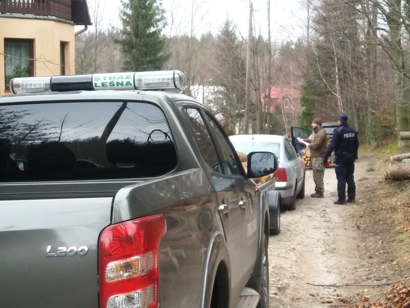 Wspólne działania policjantów oraz strażników leśnych.